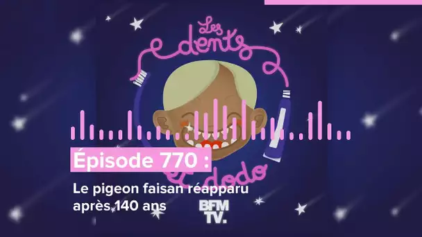 Les dents et dodo - “Épisode 770 : Le pigeon faisan réapparu après 140 ans”