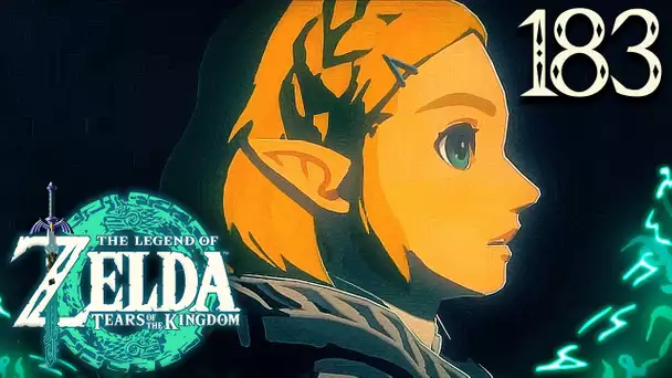 Zelda Tears of the Kingdom #183 : LA FIN D'UN MYSTÈRE ET LA RICHESSE ABSOLUE QUI TOMBE !