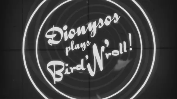 Dionysos plays Bird&#039;N&#039;roll ! (teaser 1)