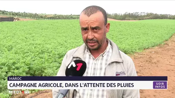 Campagne agricole au Maroc : Dans l´attente des pluies