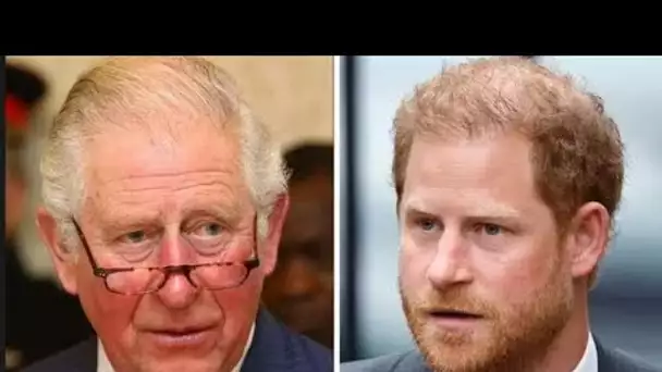 Le roi Charles et le prince William n'ont "pas l'intention d'accueillir chaleureusement Harry"