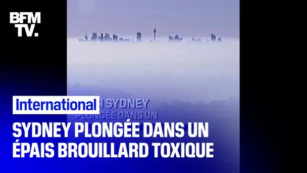 Les images de Sydney plongée dans un épais brouillard toxique à cause des incendies