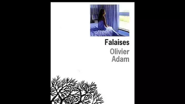 Olivier Adam : Falaises - On a tout essayé - 23/09/2005