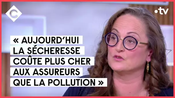 Dérèglement climatique : le manque d'eau est là - C à vous - 18/05/2022