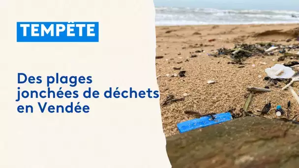 Après les tempêtes, les promeneurs nettoient les plages