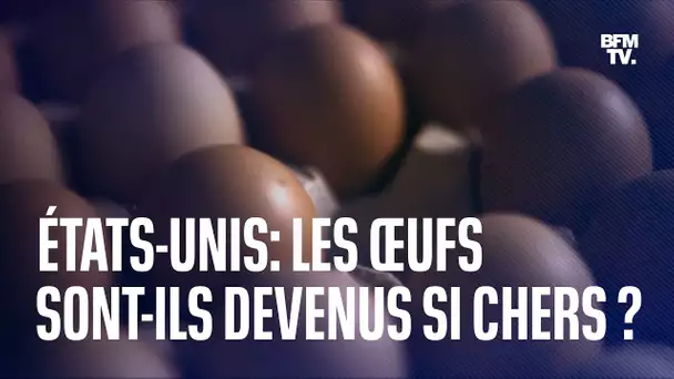 Les œufs sont-ils devenus un produit si cher aux États-Unis?