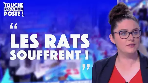 Une manifestation organisée pour défendre...les rats !