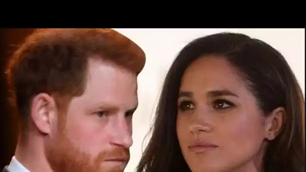 Le prince Harry et Meghan Markle s'engagent à « écraser et détruire » la famille royale