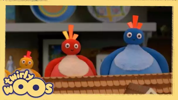 Près de | Twirlywoos | WildBrain Enfants