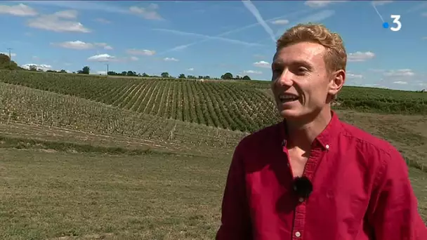 Vignoble Sarthois : Le pari "Château Bénéhard"