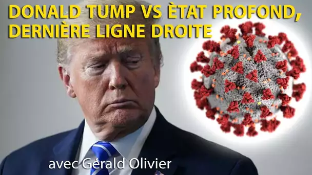 Donald Tump vs Etat profond, dernière ligne droite - Gérald Olivier - Le Zoom - TVL