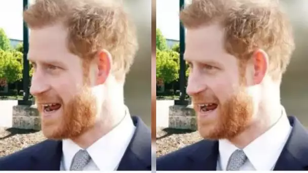 Le prince Harry "extrêmement significatif" conclut un nouvel accord avec Google alors qu'il s'associ