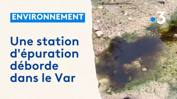 Odeur est pestilentielle : une station d'épuration déborde dans le Var après les intempéries