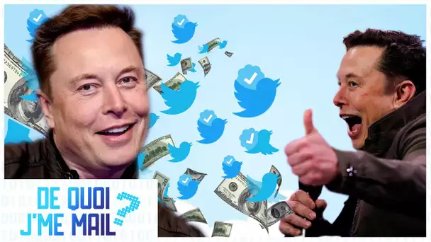 Elon Musk veut faire payer certaines options de Twitter - DQJMM (1/2)