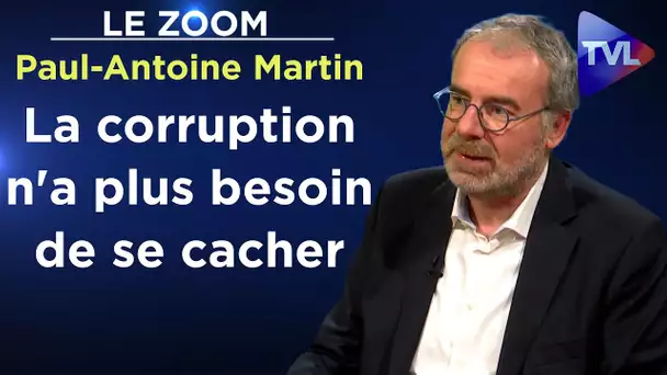 Etat profond : le cancer de la France - Le Zoom - Paul-Antoine Martin - TVL