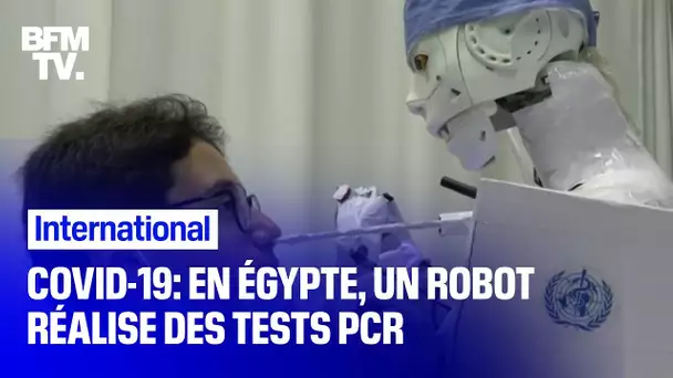 Covid-19: en Égypte, un robot réalise des tests PCR