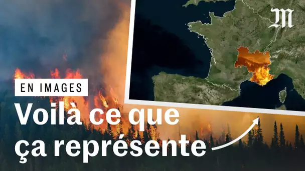 Incendies au Canada : l'ampleur inouïe des surfaces brûlées