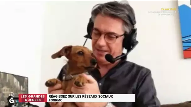 Quand Lilo, la chienne d'Alain Marschall, fait irruption en pleine émission