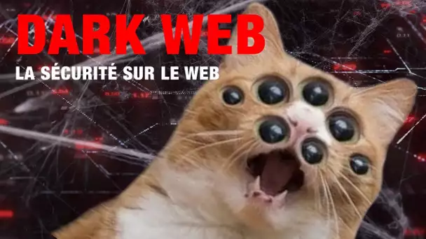 LE DARK WEB | Ne cliquez pas