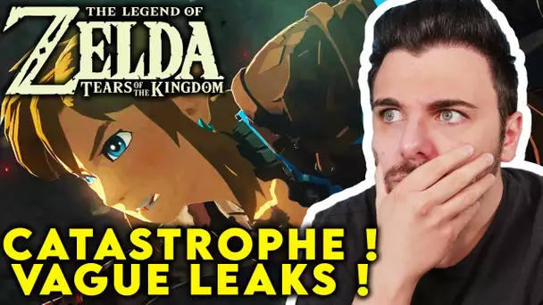 Zelda BOTW 2 / TOTK : PROBLEME ! TOUT LEAK !