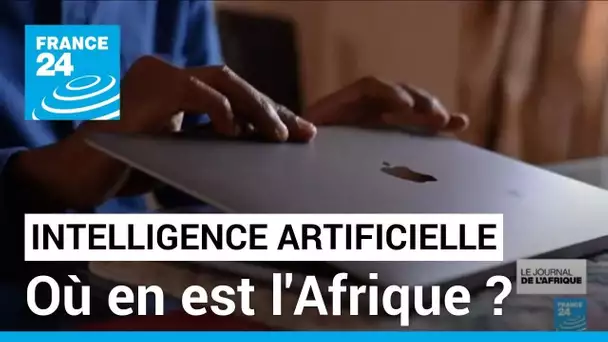 Intelligence artificielle : quel rôle joue l'Afrique dans la technologie de demain ? • FRANCE 24