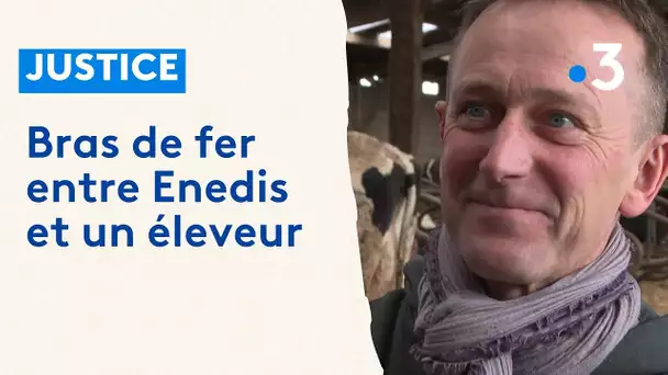 Mauvaise santé d'un troupeau de bovins : Enedis en cause ?