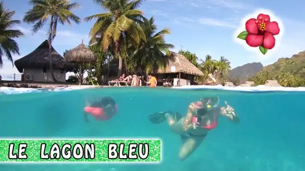 TAHITI QUEST : SURPRISE DANS LE LAGON / Family vlog à Moorea / Vlog à Tahiti