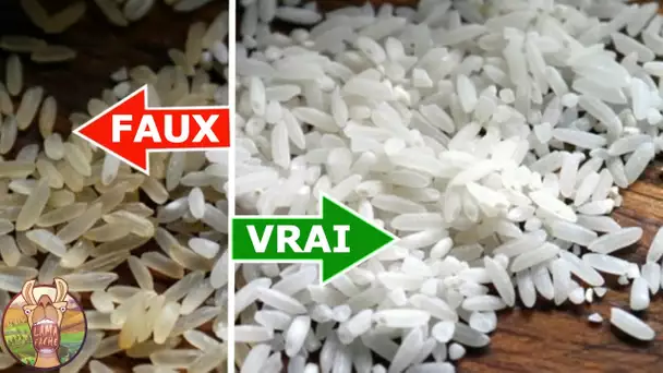 7 FAUX ALIMENTS QU'ON MANGE TOUS LES JOURS | Lama Faché