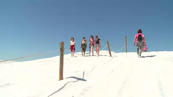 Gard : les visites reprennent aux salins d'Aigues-Mortes