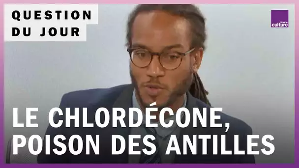 Chlordécone : pourquoi la France a-t-elle tardé à interdire ce pesticide aux Antilles ?