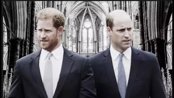 La « fracture entre Harry et William est trop profonde » – mais une chose pourrait les rapprocher