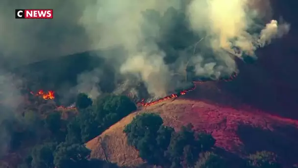 Incendies en Californie : 100.000 évacuations