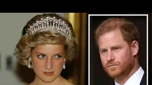 La princesse Diana "serait très mécontente" des att@ques blessantes du prince Harry contre William