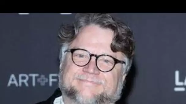 La Forme de l’eau  : La plainte pour plagiat contre Guillermo del Toro a été abandonnée