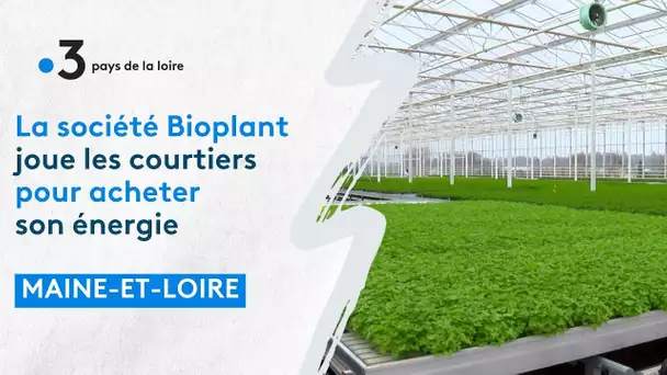 La société Bioplant  achète son énergie au meilleur prix du marché