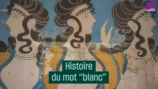 D&#039;une méprisable pâleur à la hiérarchie des races : histoire du 'blanc'