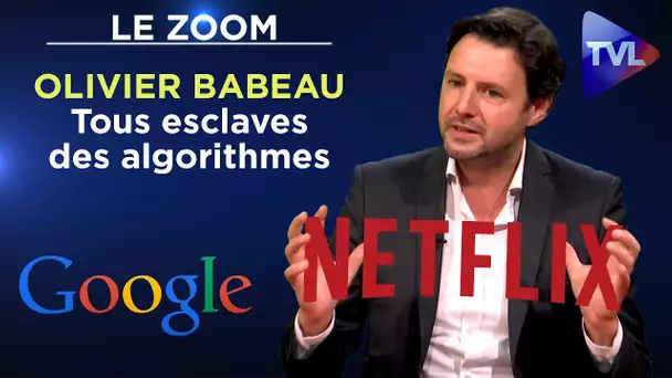 Désordre numérique : tous esclaves des algorithmes - Le Zoom - Olivier Babeau - TVL