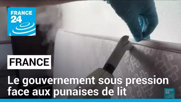 France : fermetures d'écoles et gouvernement sous pression face aux punaises de lit • FRANCE 24