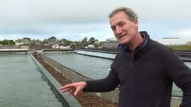 Les algues: un trésor à protéger grâce à l'aquaculture- Bord à bord-France Haliotis