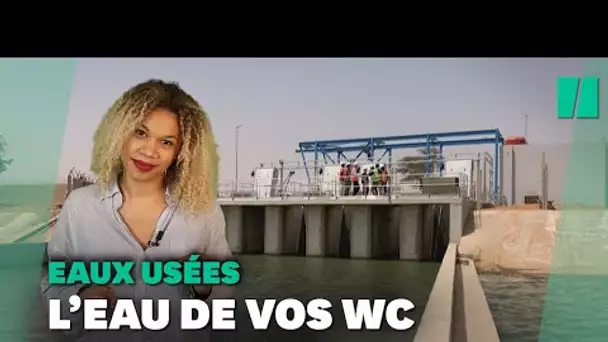 De l'eau recyclée bientôt dans vos WC ?