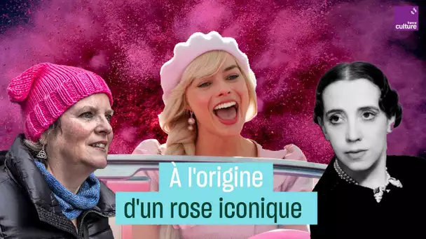 Le rose shocking : à l'origine d'une teinte iconique