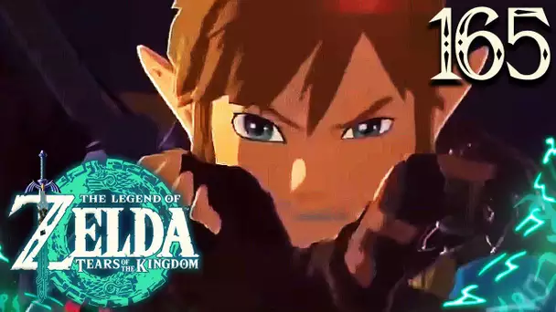 Zelda Tears of the Kingdom #165 : LE SEIGNEUR DES NUAGES SE DEVOILE A LINK