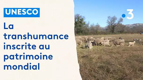 La transhumance inscrite au patrimoine de l'Unesco