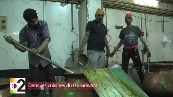 Dans les cuisines du Gurudwara | NO COMMENT | Episode 83