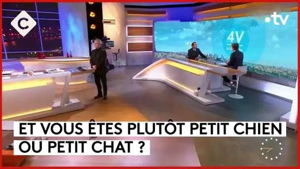 Les interviews matinales deviennent de plus en plus étranges… - L’ABC - C à Vous - 08/02/2024