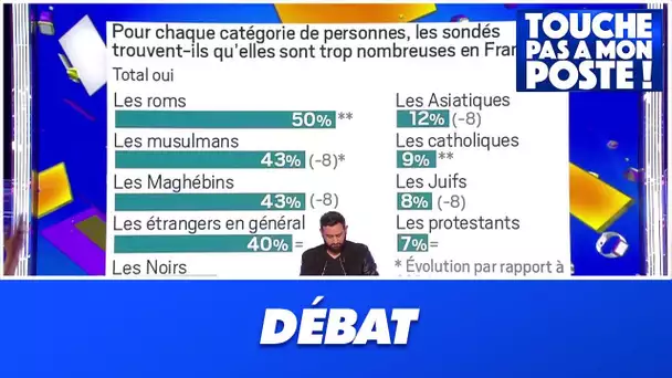 Un sondage du JDD jugé raciste