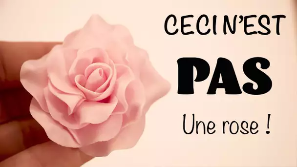 CECI N'EST PAS UNE ROSE !