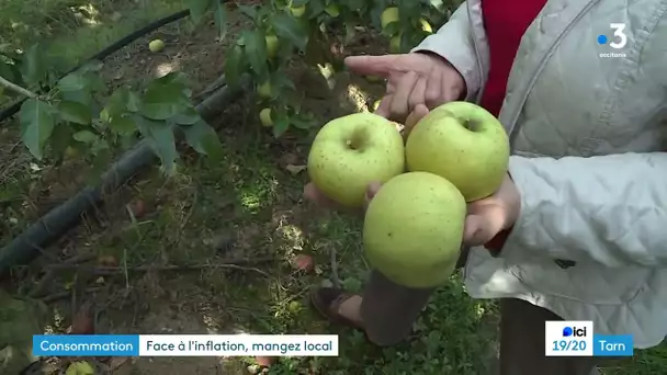 Tarn : cueillir ses pommes pour le plaisir et le porte-monnaie