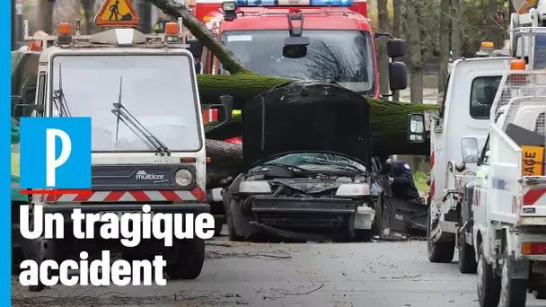 Vents violents à Paris : un automobiliste tué par la chute d’un arbre