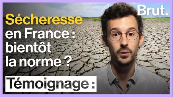 Sécheresse en France : bientôt la norme ?